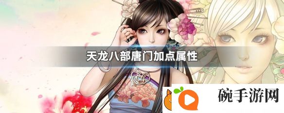 天龙八部唐门加点加什么