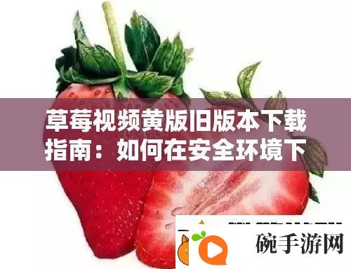 草莓视频黄版旧版本下载指南