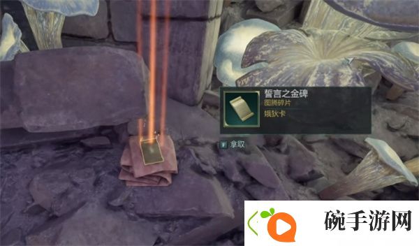 新手必看进阶技巧
