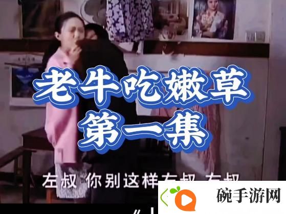 畅享影视盛宴——老牛影院免费观看电视剧的魅力所在