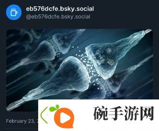 有消息称宝可梦多人游戏可能会在发布会中公布